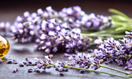 Support Your Mind and Body Through Cancer Treatment and Beyond Using Essential Oils